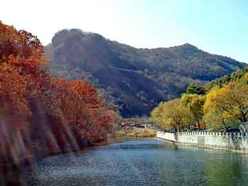 新澳门期期准精准，布鸟里 杜甫